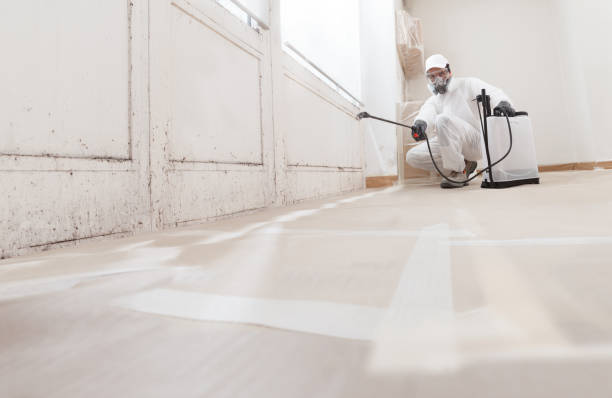 24/7 Emergency Crawl Space Mold Removal experts in Georgetown, GA