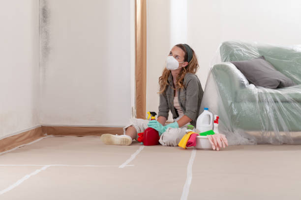 Reliable Crawl Space Mold Removal contractor in Georgetown, GA by WQB Mold Removal