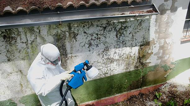 Top rated local Crawl Space Mold Removal specialists in Georgetown, GA